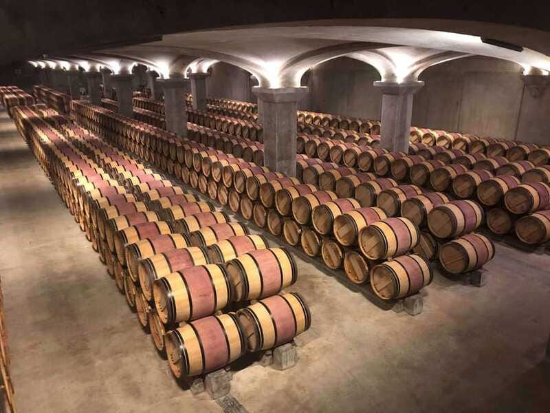 Relaxing Lunch & Wine Tour through Niagara's Wine Country - The production tour from vine to barrel room