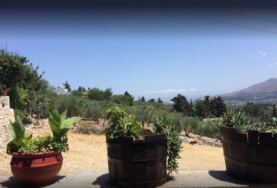 Rethymno: Private Winery & Olive Oil Tasting Tour with Lunch - Key points at a glance