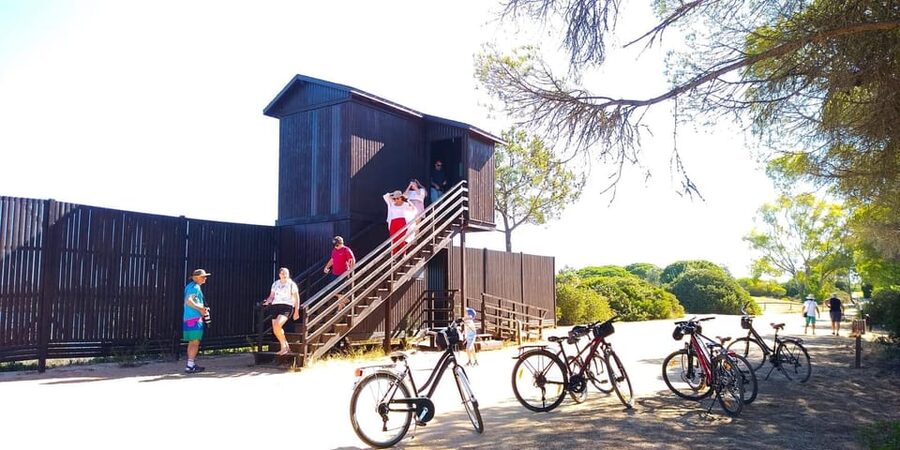 Ria Formosa: Guided Bike Tour (3h), Início na Quinta do Lago - Salt pans and the working side of the park
