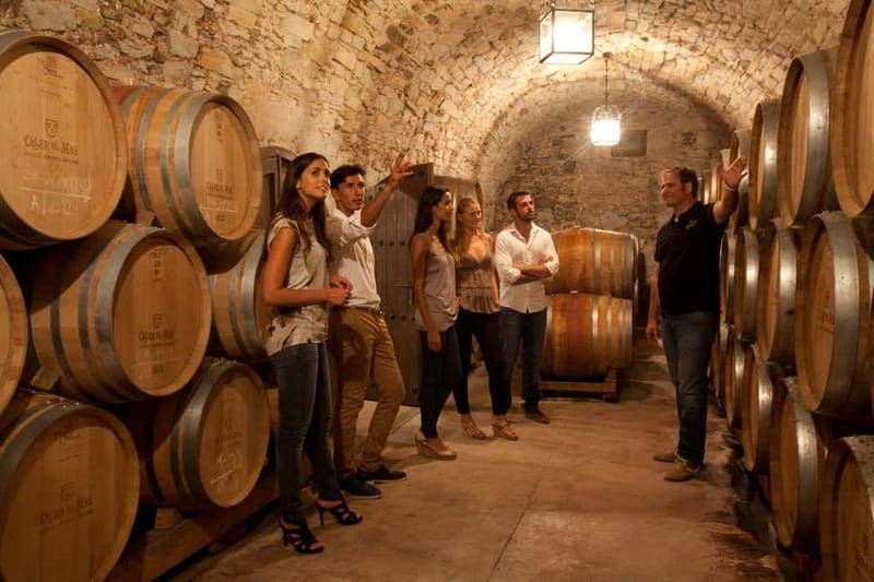 Rías Baixas Albariño Experience: Winery Visit & Cheese - Key points to know before booking