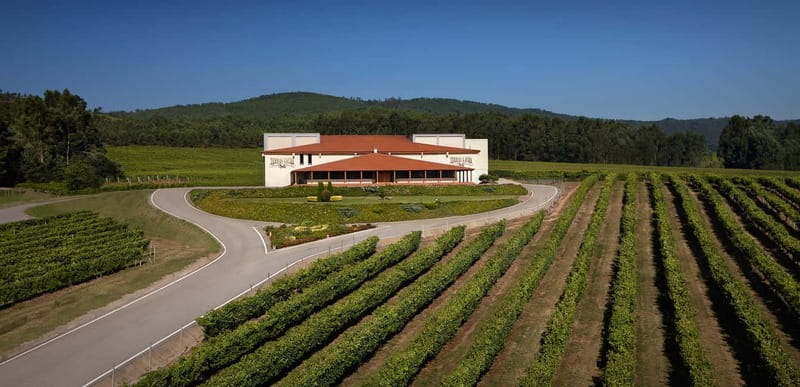 Rías Baixas Albariño Experience: Winery Visit & Cheese - Why the O Rosal Valley makes this visit worthwhile