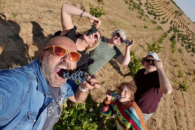 Ribera del Duero:4 Wineries, tasting & Lunch included from Madrid - What lunch adds to the day