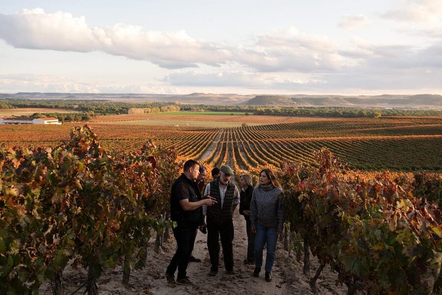 Ribera del Duero: Experience, vineyard, and 4x4 ride, plus an aperitif and tasting. - Why this Ribera del Duero outing feels different