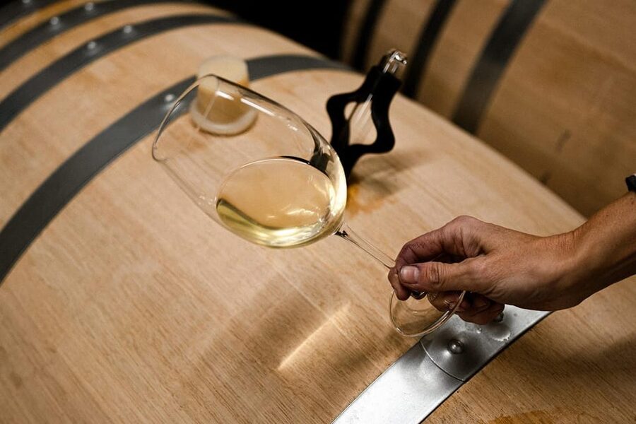 Ribera del Duero: Experience, vineyard, and 4x4 ride, plus an aperitif and tasting. - Reading the vines, soil, and mountain