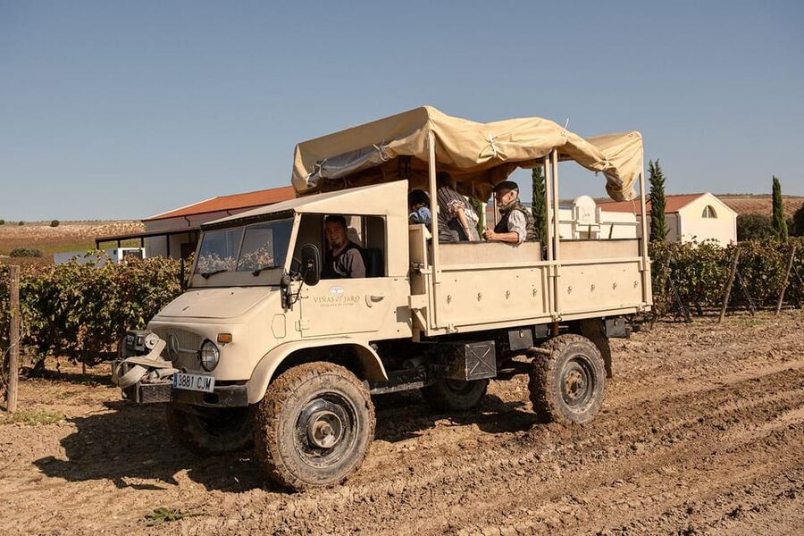 Ribera del Duero: Experience, vineyard, and 4x4 ride, plus an aperitif and tasting. - What makes the guide important