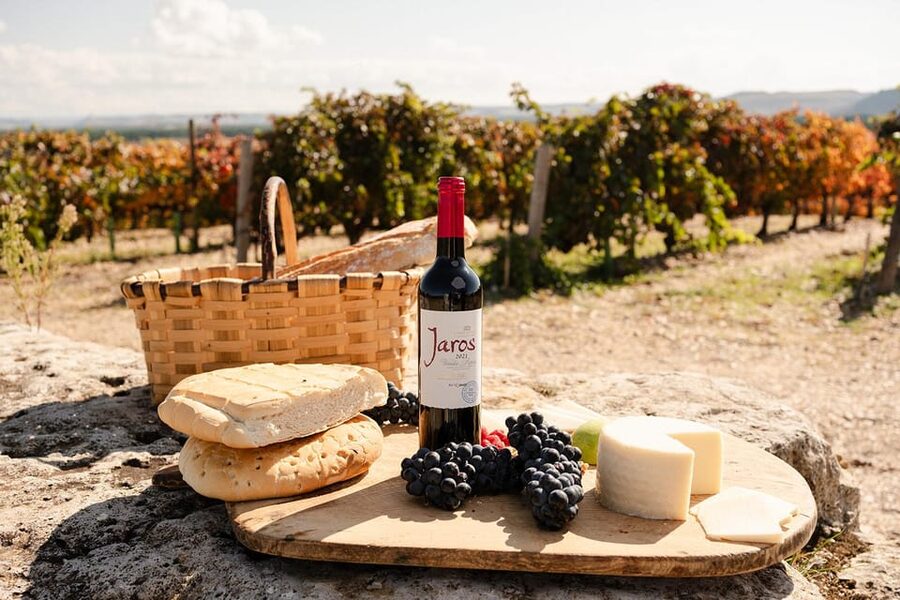 Ribera del Duero: Experience, vineyard, and 4x4 ride, plus an aperitif and tasting. - Who will get the most from two hours here