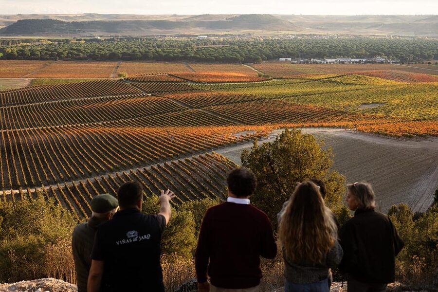 Ribera del Duero: Experience, vineyard, and 4x4 ride, plus an aperitif and tasting. - Timing, price, and practical planning