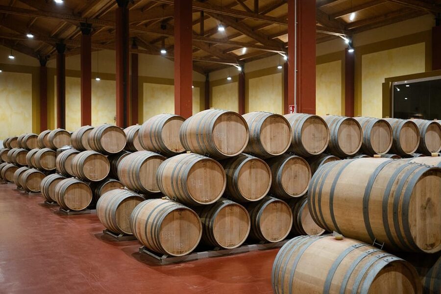 Ribera del Duero: Experience, vineyard, and 4x4 ride, plus an aperitif and tasting. - Meeting the estate in a 1964 UNIMOG