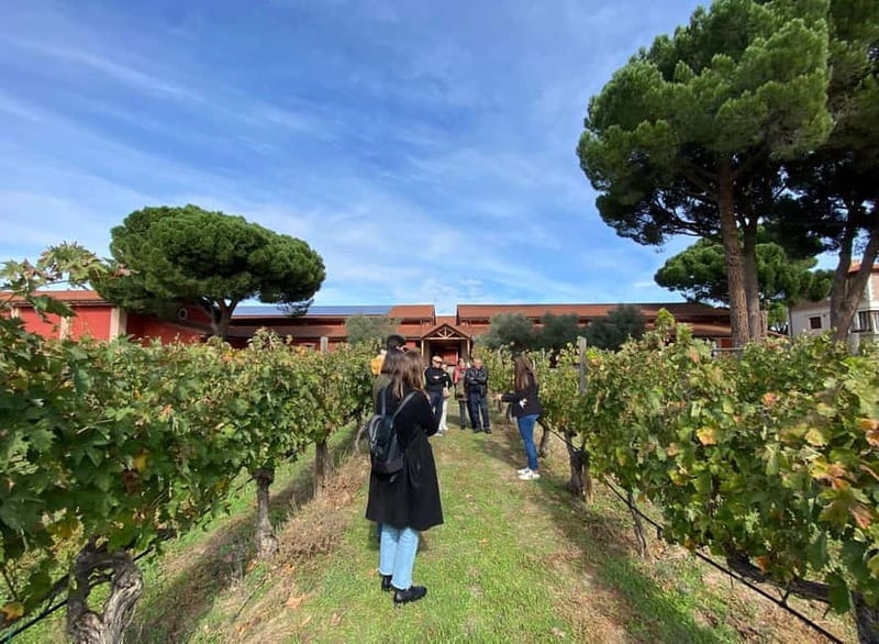 Ribera del Duero Tour From Madrid: 2 Wineries with Transport - Why Ribera del Duero makes a good Madrid day trip