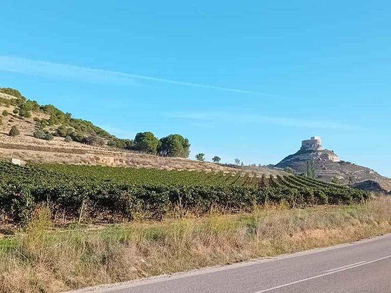 Ribera del Duero Tour From Madrid: 2 Wineries with Transport - First winery: 90 minutes of guided tasting