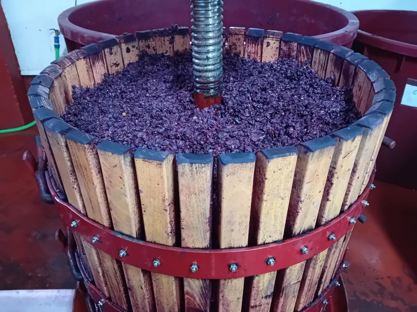 Ribera del Duero Tour From Madrid: 2 Wineries with Transport - Second winery: compare a different side of the region