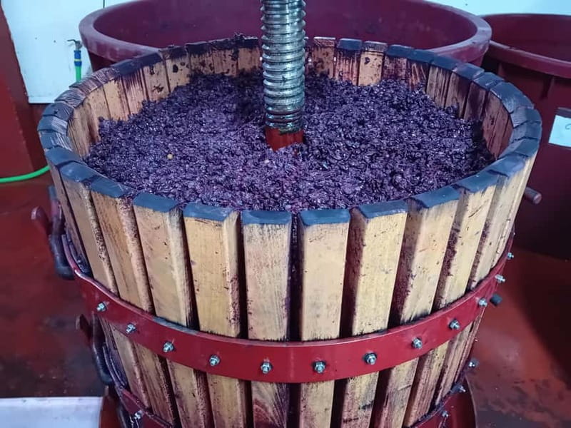 Ribera del Duero Tour From Madrid: 2 Wineries with Transport - Who will enjoy this day most
