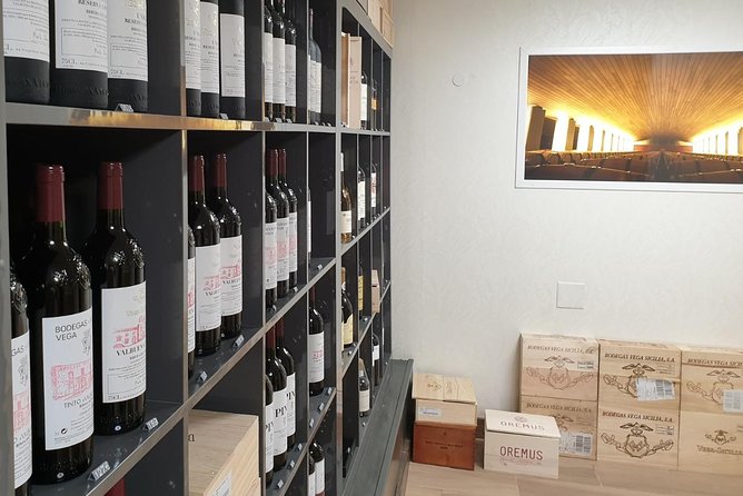 Ribera del Duero Underground Cellar & Wine Tasting Experience - What the 75-minute schedule really gives you