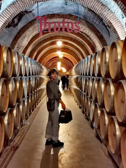 Ribera del Duero wine region private tour - Key points to know before booking