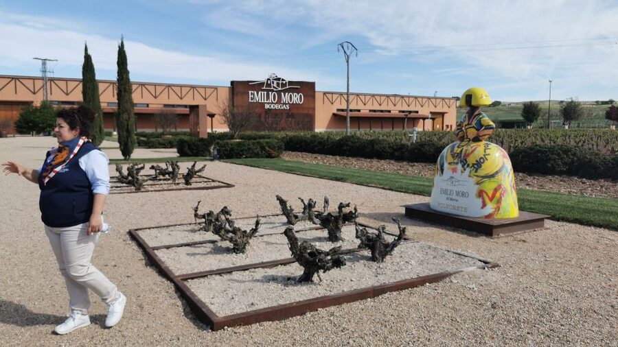 Ribera del Duero wine region private tour - Who should book this Ribera del Duero tour?