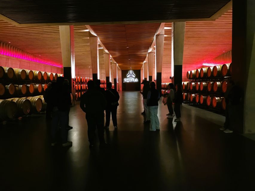 Ribera del Duero wine region private tour - Second stop: a 16th-century family cellar