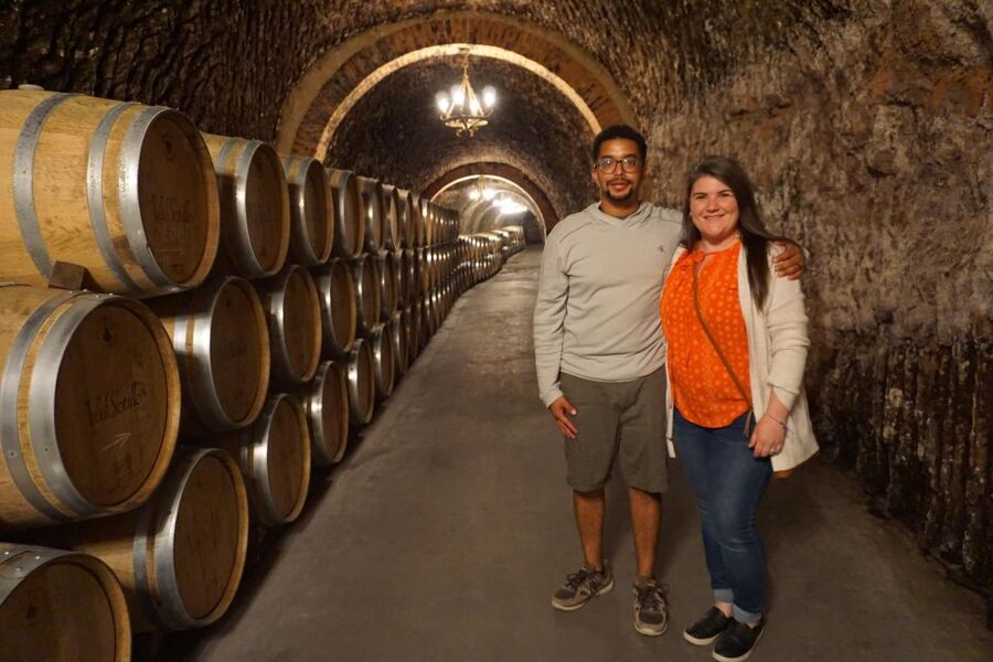 Ribera del Duero wine region private tour - What the wine tastings actually add