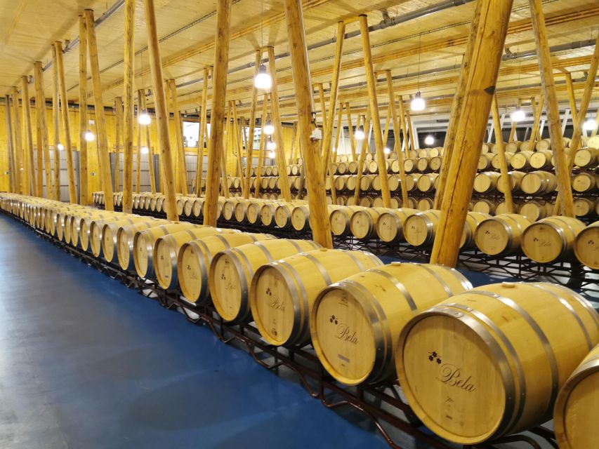 Ribera del Duero wine region private tour - Is $412 per person good value?