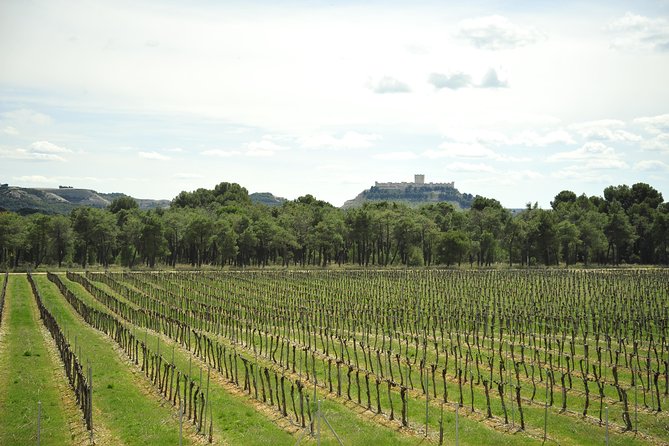 Ribera del Duero Wineries Guided Tour & Wine Tasting from Madrid - What makes this Ribera del Duero tour worth your day