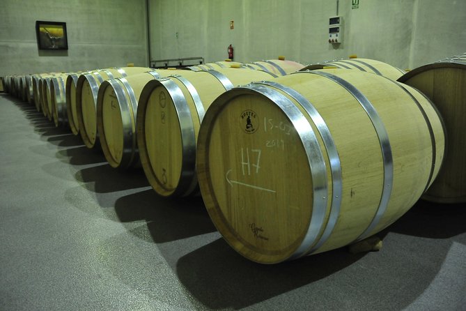 Ribera del Duero Wineries Guided Tour & Wine Tasting from Madrid - Leaving Madrid for Spain’s red-wine country