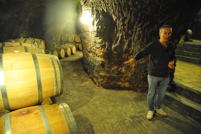 Ribera del Duero Wineries Guided Tour & Wine Tasting from Madrid - Lunch in Roa or another regional town