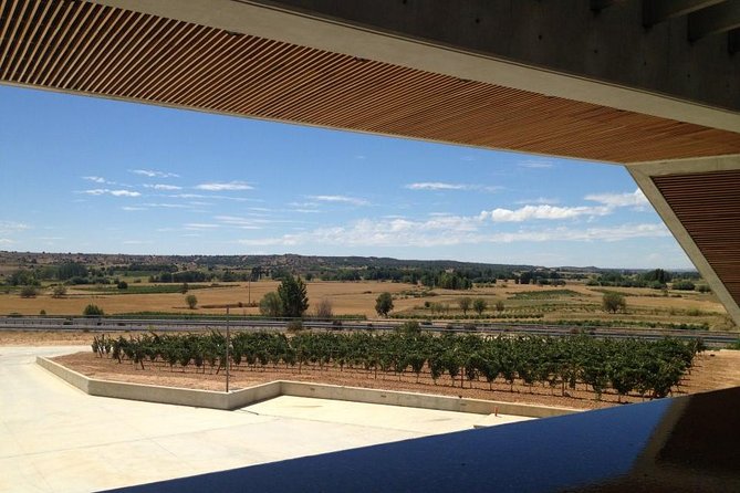 Ribera del Duero Wineries Guided Tour & Wine Tasting from Madrid - Third winery: underground tunnels and old wine storage