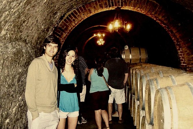 Ribera del Duero Winery Guided Tour and Wine Tasting from Madrid - Why Ribera del Duero makes a good day trip