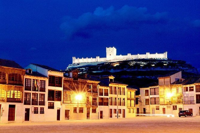 Ribera del Duero Winery Guided Tour and Wine Tasting from Madrid - The second and possible third winery