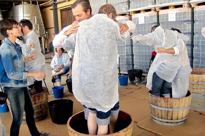 Ribera del Duero Winery Guided Tour and Wine Tasting from Madrid - Castles, villages, and extra historic stops