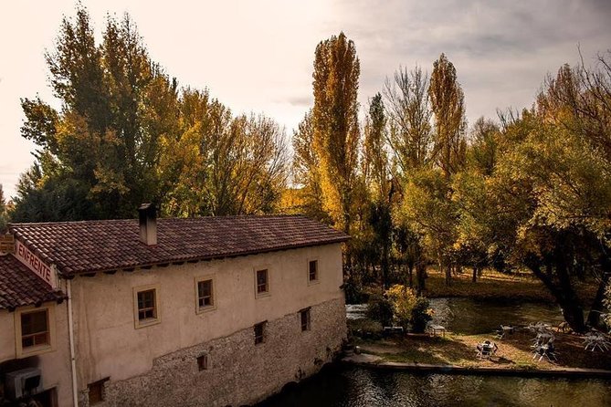 Ribera del Duero Winery Guided Tour and Wine Tasting from Madrid - What the guide adds
