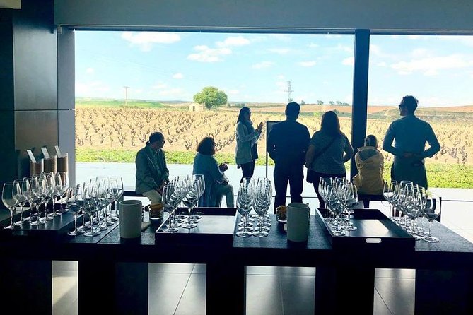 Ribera del Duero Winery Guided Tour and Wine Tasting from Madrid - Is the $191.87 price good value?