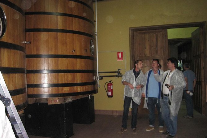 Ribera del Duero Winery Guided Tour and Wine Tasting from Madrid - The 9:30 a.m. departure from Madrid