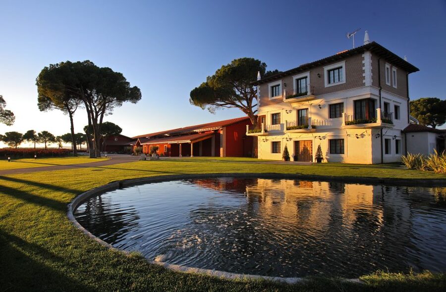 Ribera del Duero Winery Tour & Wine Tasting Near Valladolid - Key points to know