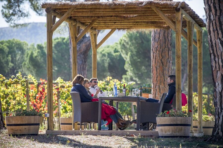 Ribera del Duero Winery Tour & Wine Tasting Near Valladolid - A vineyard visit with the wine still tied to the land