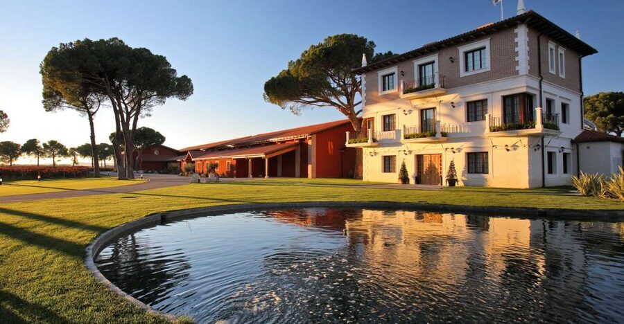 Ribera del Duero Winery Tour & Wine Tasting Near Valladolid - Inside the fermentation and barrel rooms