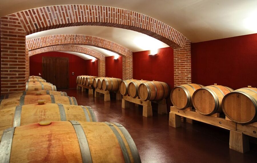 Ribera del Duero Winery Tour & Wine Tasting Near Valladolid - The guides and the language choice