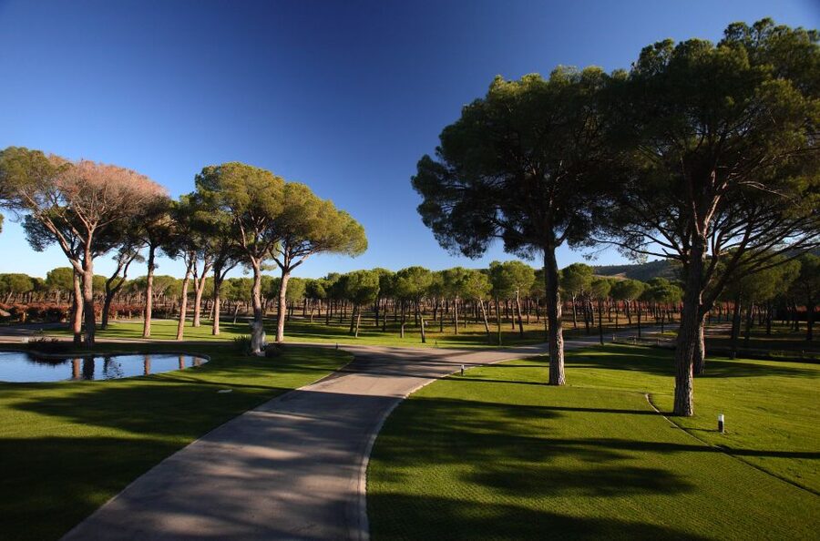 Ribera del Duero Winery Tour & Wine Tasting Near Valladolid - Two wines and an individual gourmet pairing