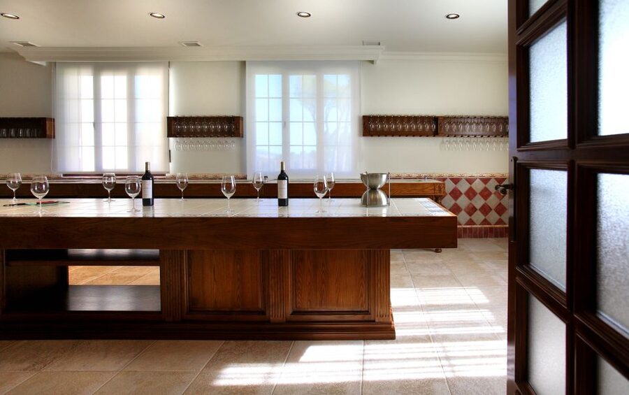 Ribera del Duero Winery Tour & Wine Tasting Near Valladolid - Walking through 15 vineyard plots