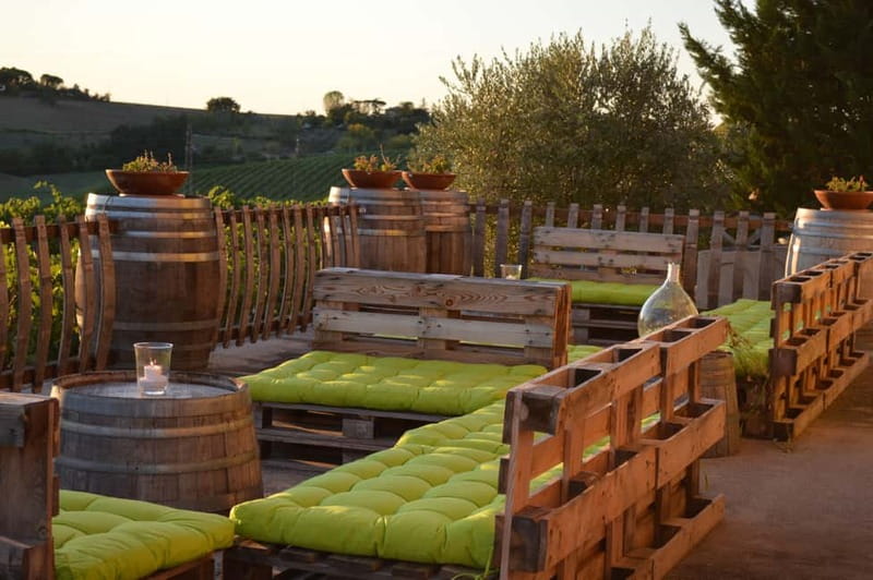 Rimini: San Valentino Vineyards Tour with DOC Wine Tastings - What makes this Rimini wine visit worthwhile