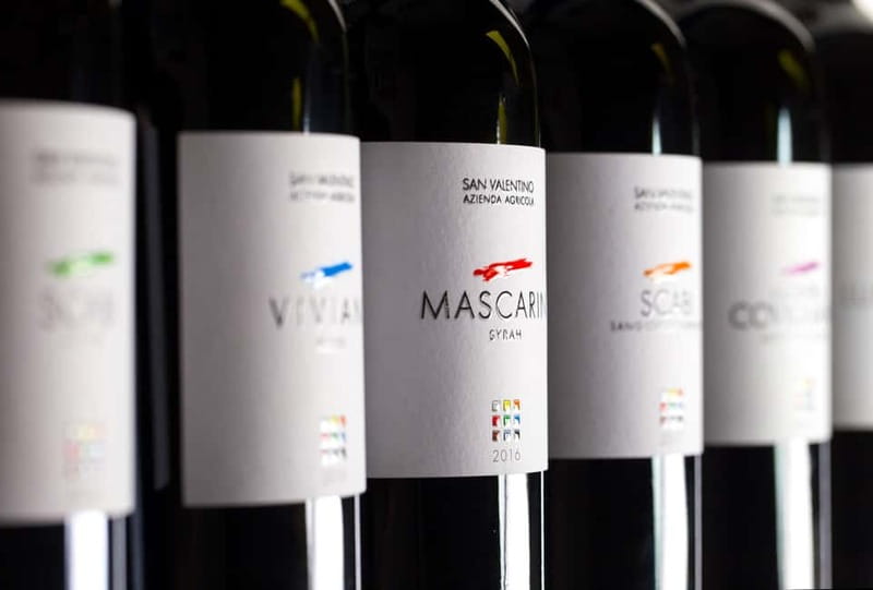 Rimini: San Valentino Vineyards Tour with DOC Wine Tastings - Who will enjoy this wine tour most?