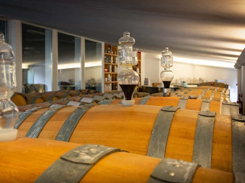 Rimini: San Valentino Vineyards Tour with DOC Wine Tastings - My take on the San Valentino Experience option
