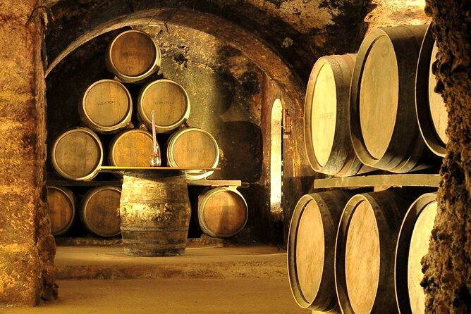Rioja wine region with visit to winery & Vitoria-Gasteiz - A Rioja day trip that adds a capital city