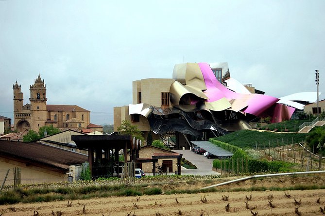 Rioja wine region with visit to winery & Vitoria-Gasteiz - Who should book this Bilbao day trip?