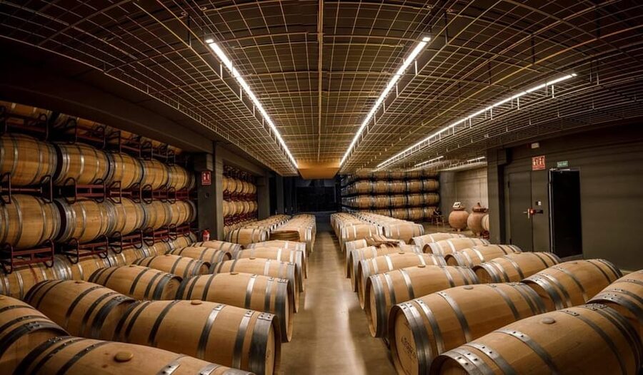 Rioja: Wine tasting and sampling at the Martínez Alesanco family winery - A small Rioja winery with a personal feel