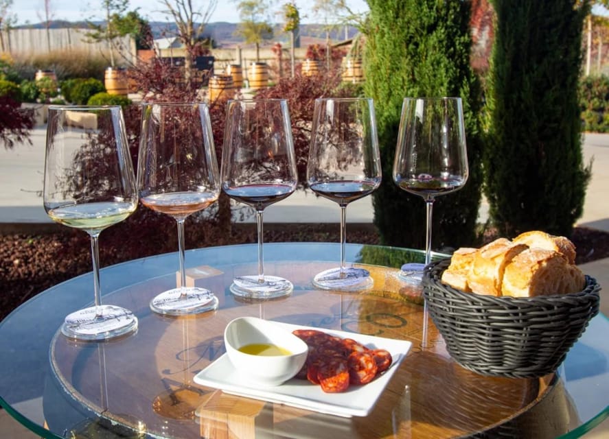 Rioja: Wine tasting and sampling at the Martínez Alesanco family winery - Should you book Bodegas Pedro Martínez Alesanco?
