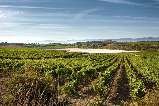Rioja Wine Tour: 2 Wineries From Bilbao - From Bilbao to the vineyards of Rioja Alavesa