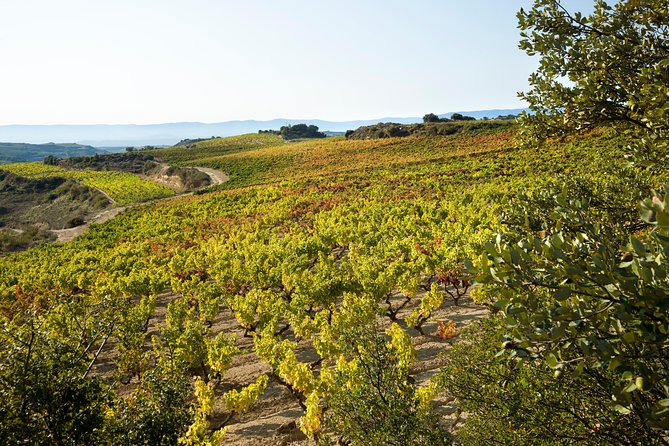 Rioja Wine Tour: 2 Wineries From Bilbao - The guide can make or break the day