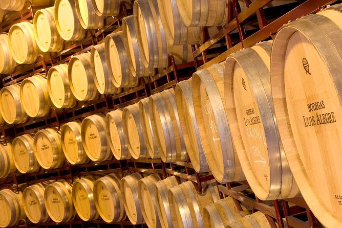 Rioja Wine Tour: 2 Wineries From Bilbao - How much value do you get for $290.25?