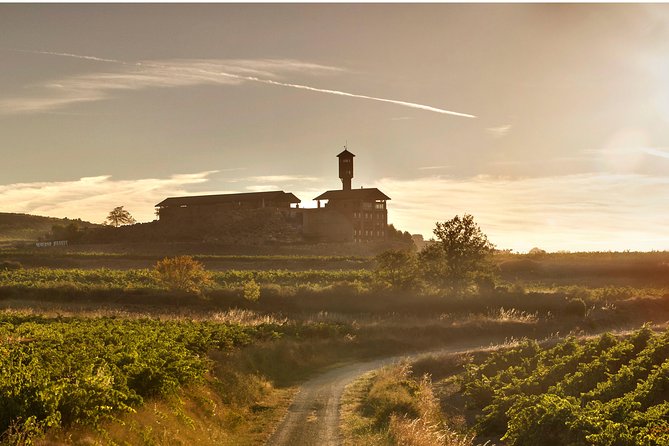 Rioja Wine Tour: 2 Wineries Visit with Tasting from San Sebastian - Second winery: compare a different Rioja style