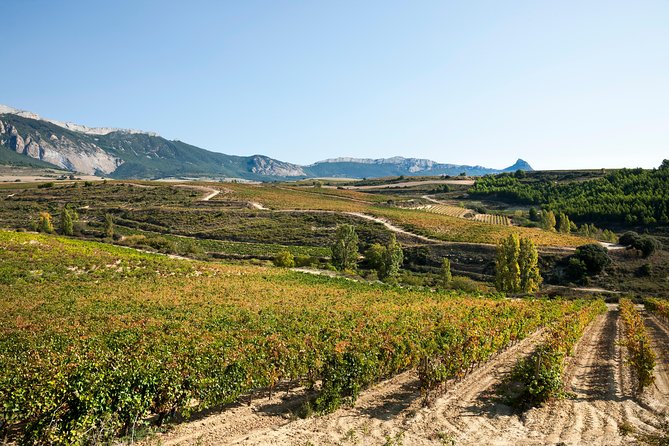 Rioja Wine Tour: 2 Wineries Visit with Tasting from San Sebastian - Is $290.25 a fair price?